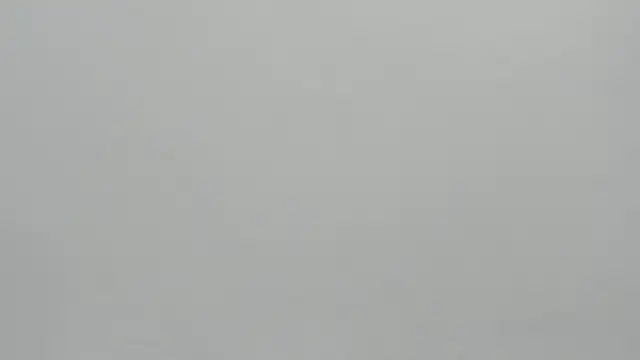 scarlett leblanc  online show from April 1, 2026, 1:01 pm