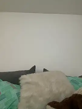 Snapshot of Ania_rose chatting on February 7, 2026, 5:54 pm Ania rose online show from February 7, 2026, 5:54 pm