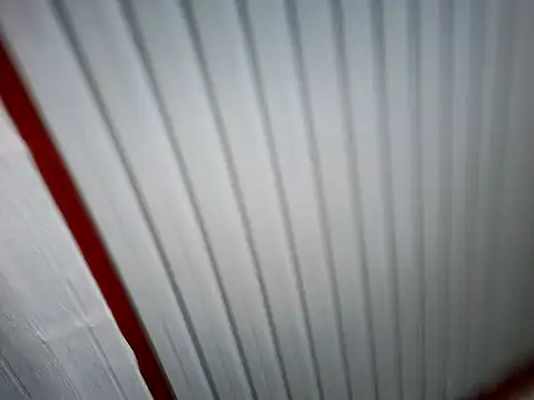 xwildflowerx online show from March 3, 2026, 9:22 pm