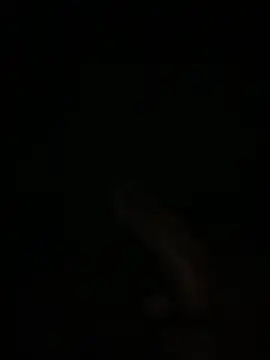 Snapshot of Manfredini607452 chatting on February 4, 2026, 1:11 am Manfredini607452 online show from February 4, 2026, 1:11 am