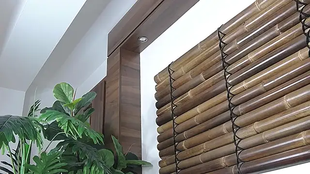 FayeSlate online show from November 12, 2025, 5:00 am