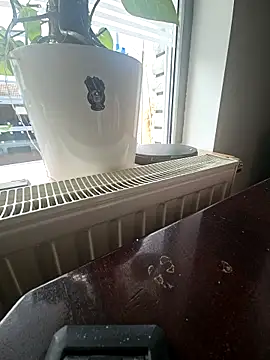 Snapshot of DerDonutdealer chatting on February 28, 2026, 11:54 am DerDonutdealer online show from February 28, 2026, 11:54 am