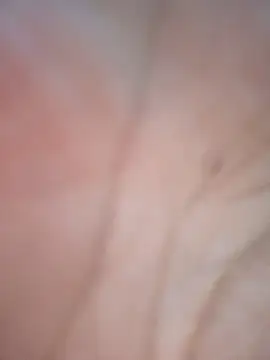 Mahsime online show from November 30, 2025, 10:32 pm