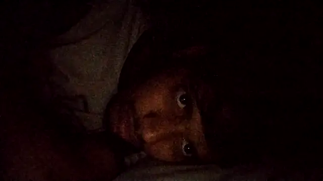 Snapshot of sageer097 chatting on November 13, 2025, 6:23 pm sageer097 online show from November 13, 2025, 6:23 pm