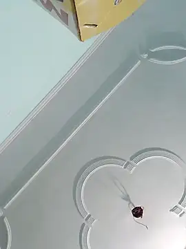 sanjana077 online show from November 27, 2025, 6:14 am