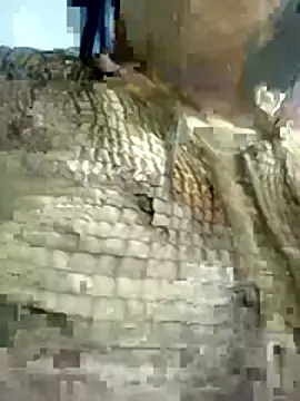 Snapshot of Nishi-3 chatting on January 17, 2026, 12:31 pm Nishi-3 online show from January 17, 2026, 12:31 pm