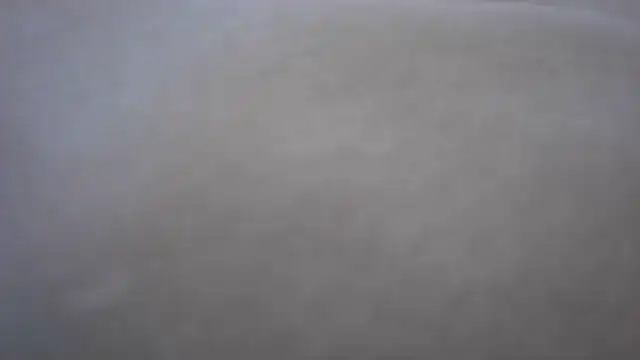 Elieantte online show from May 9, 2026, 3:37 pm