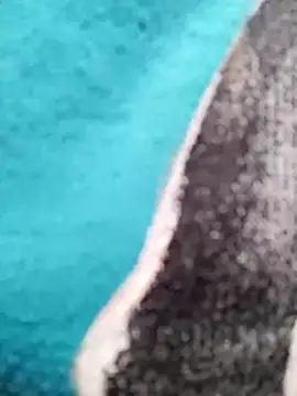 Lynn-122 online show from March 6, 2026, 3:23 am