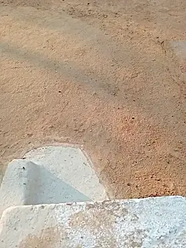 Sabnam bady online show from December 2, 2025, 2:34 am