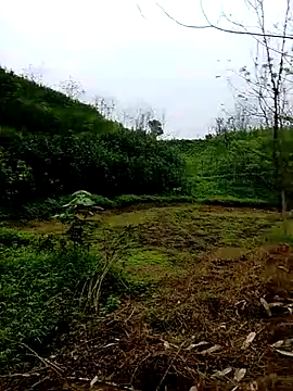 Cloud-wh online show from March 5, 2026, 12:40 am