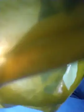 chim-yen online show from November 19, 2025, 3:50 am