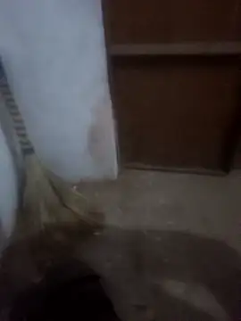 Neha cut79 online show from January 10, 2026, 1:17 pm