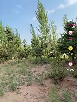 GG-BONG1 online show from August 8, 2026, 9:05 am