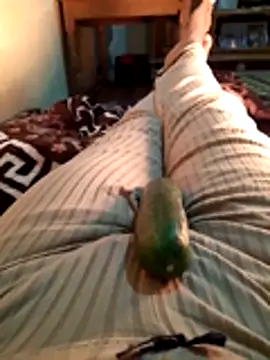 Snapshot of Tota_sexi chatting on November 28, 2025, 10:48 am Tota sexi online show from November 28, 2025, 10:48 am