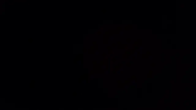 NoahCampbell online show from November 23, 2025, 8:08 pm