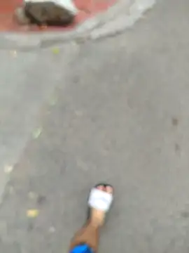 Carl-Milton online show from November 23, 2025, 8:19 pm