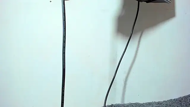 ZeusBrant online show from April 15, 2026, 7:58 pm