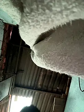 MEFUN- online show from January 9, 2026, 9:27 am