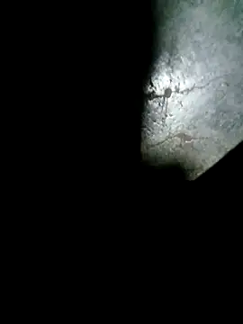 Snapshot of raju423204 chatting on February 15, 2026, 1:06 am raju423204 online show from February 15, 2026, 1:06 am