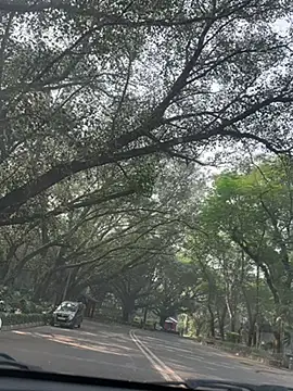 Snapshot of sexyayeshadesi chatting on November 20, 2025, 5:30 am sexyayeshadesi online show from November 20, 2025, 5:30 am