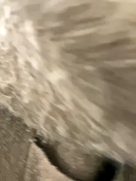 Snapshot of yiyi0316 chatting on November 28, 2025, 5:29 am yiyi0316 online show from November 28, 2025, 5:29 am