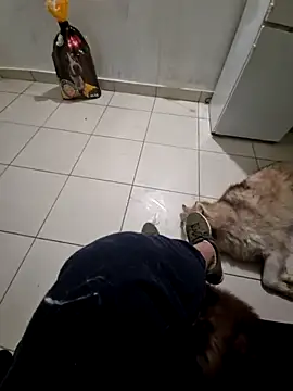 RITAEGIH online show from March 2, 2026, 8:05 pm