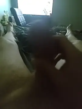 PapaColt online show from November 20, 2025, 6:03 am