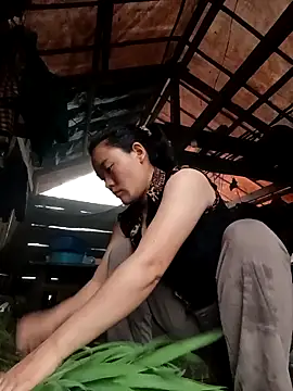 meomeo-00 online show from April 18, 2026, 10:39 am