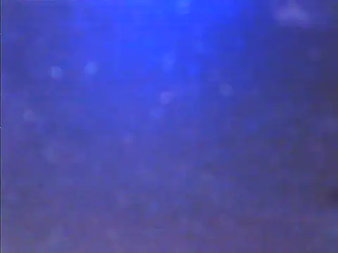 Snapshot of Sweet_dove05 chatting on November 26, 2025, 4:45 am Sweet dove05 online show from November 26, 2025, 4:45 am