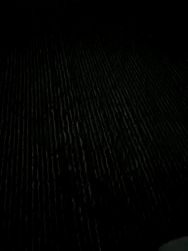 Playboy pune  online show from November 25, 2025, 5:46 pm