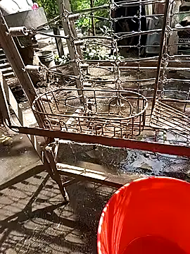 Snapshot of juunioreest chatting on November 25, 2025, 5:35 pm juunioreest online show from November 25, 2025, 5:35 pm