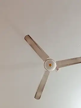 Snapshot of rupamim chatting on December 22, 2025, 11:54 am rupamim online show from December 22, 2025, 11:54 am