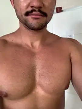 bigodeforte online show from November 26, 2025, 6:41 pm