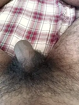 tamilbbc1 online show from November 26, 2025, 5:51 am