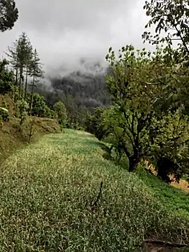 Snapshot of Cute_Lucky chatting on April 8, 2026, 6:15 am Cute Lucky online show from April 8, 2026, 6:15 am