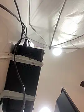 Aria Kitty online show from November 30, 2025, 11:44 am