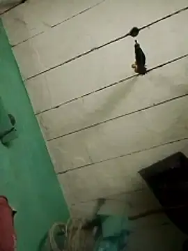 Xxx suhana online show from February 7, 2026, 11:07 am