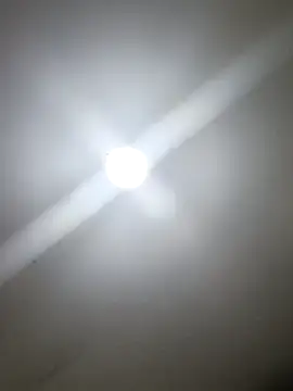 Ruvalcaba3315 online show from November 25, 2025, 9:20 am