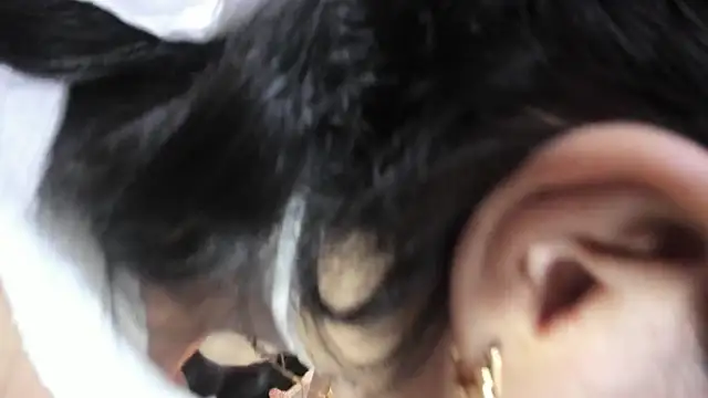 Haylenpark online show from February 22, 2026, 11:56 am