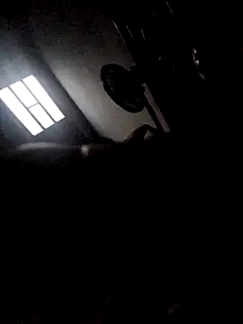 277T online show from December 23, 2025, 4:23 am