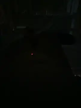 aricub online show from February 22, 2026, 2:58 am