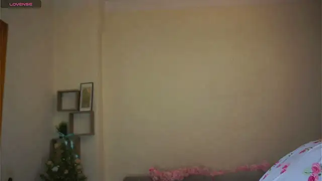 ToyaPletz online show from April 4, 2026, 5:08 pm