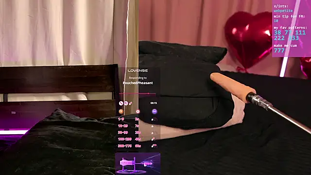 webpetite online show from February 20, 2026, 6:19 am