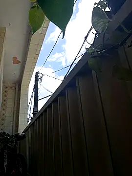 wakahoe online show from April 8, 2026, 1:34 pm