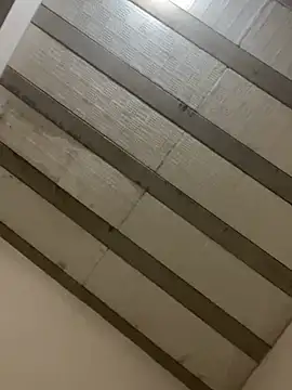 PartiedOmelet online show from February 23, 2026, 5:24 pm