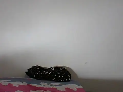 monojerez online show from February 15, 2026, 6:03 am