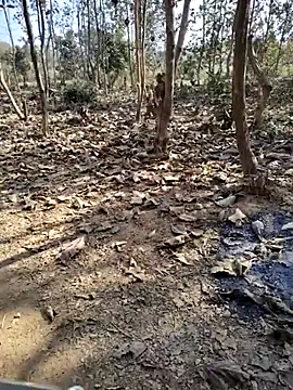 Snapshot of 88zaifkhan88 chatting on January 10, 2026, 4:41 am 88zaifkhan88 online show from January 10, 2026, 4:41 am