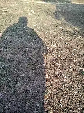 Snapshot of 88zaifkhan88 chatting on January 14, 2026, 3:32 am 88zaifkhan88 online show from January 14, 2026, 3:32 am