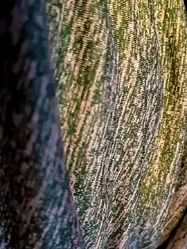 Bearclaw42069too online show from November 28, 2025, 7:14 pm