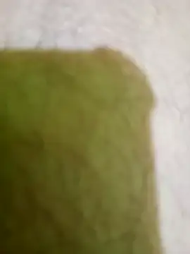 hectorpuga9 online show from March 5, 2026, 10:48 pm